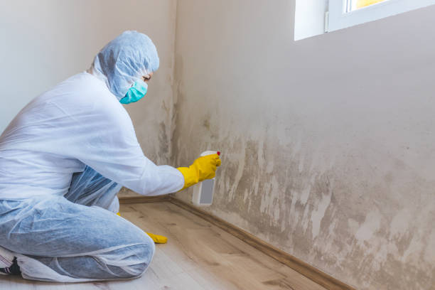 Hvac And Air Duct Mold Remediation inspection of HVAC system in Bergheim